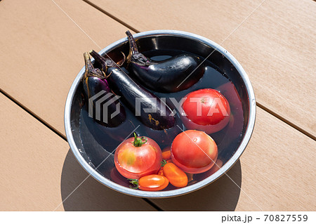 収穫した夏野菜 水を張ったボウルで冷やす (7月) 家庭菜園 収穫した夏野菜 水を張ったボウルで冷やす (7月) 家庭菜園 70827559