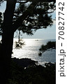 潮岬／朝の光と松 70827742