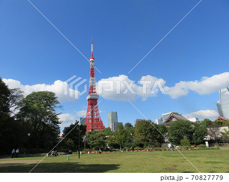 芝公園から見える東京タワー 芝公園から見える東京タワー 70827779