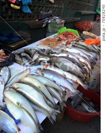 アンデスの魚市場 70828240