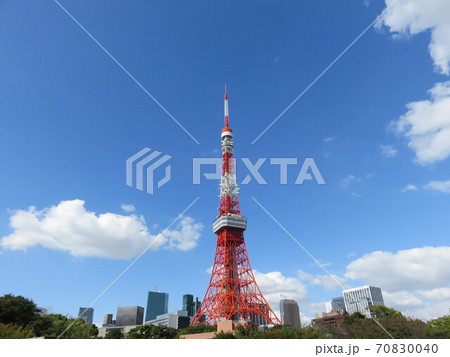 芝公園から見える東京タワー 芝公園から見える東京タワー 70830040