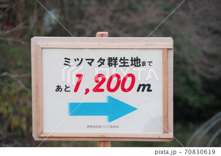 三重県津市美杉町　ミツマタ群生地案内板 70830619