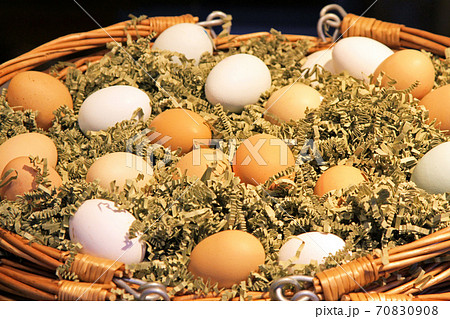 Eggs Eggs 70830908
