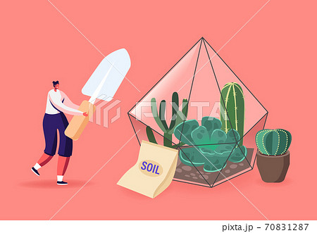 Home Gardening, Growing Plants in Terrarium. Female Character with Spade Planting Succulents. Botanist Planting Flowers Home Gardening, Growing Plants in Terrarium. Female Character with Spade Planting Succulents. Botanist Planting Flowers 70831287