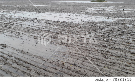 A field plowed by a tractor after a downpour and rain A field plowed by a tractor after a downpour and rain 70831319