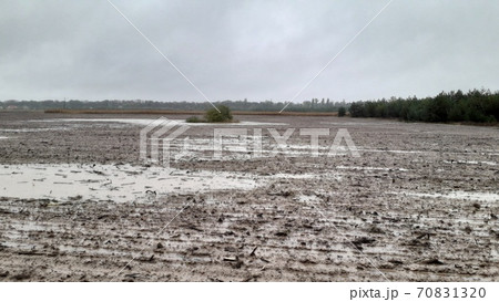 A field plowed by a tractor after a downpour and rain A field plowed by a tractor after a downpour and rain 70831320