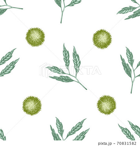 Seamless pattern with hand drawn pastel chestnut Seamless pattern with hand drawn pastel chestnut 70831582