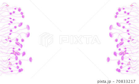 Floral Background. Purple Flowers On White Background 70833217