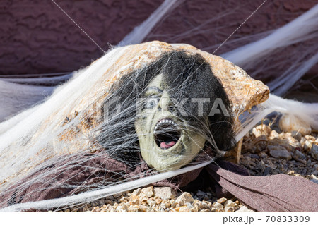 Sunny view of a beautiful Halloween decoration house Sunny view of a beautiful Halloween decoration house 70833309