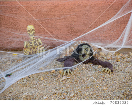 Sunny view of a beautiful Halloween decoration house Sunny view of a beautiful Halloween decoration house 70833383