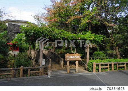 10月 世田谷326祖師谷つりがね池公園 10月 世田谷326祖師谷つりがね池公園 70834693