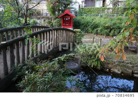 10月 世田谷324祖師谷つりがね池公園 10月 世田谷324祖師谷つりがね池公園 70834695
