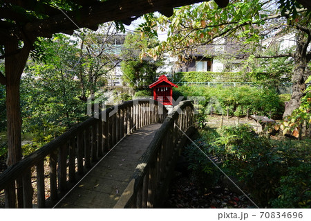 10月　世田谷323祖師谷つりがね池公園 70834696