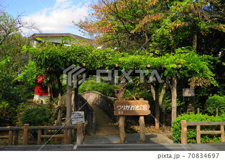 10月 世田谷322祖師谷つりがね池公園 10月 世田谷322祖師谷つりがね池公園 70834697