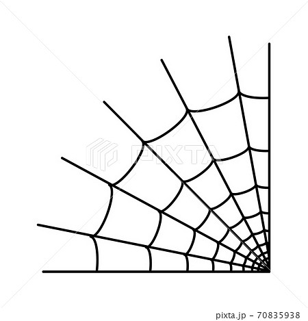 Spider web concept 70835938