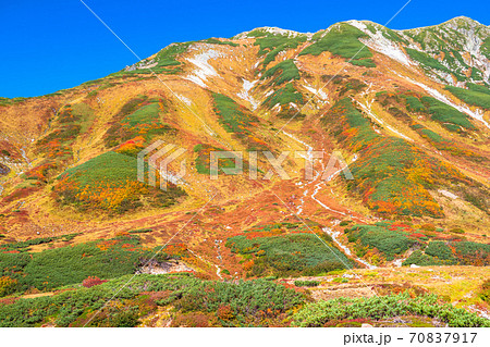 《富山県》紅葉最盛期の室堂・立山黒部アルペンルート 70837917