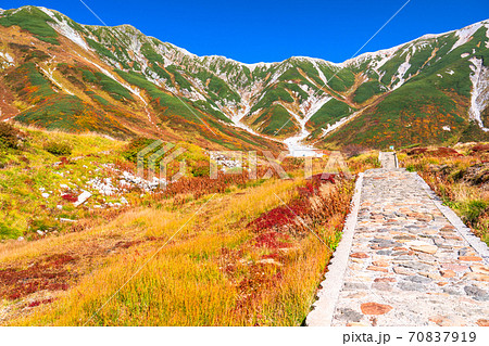 《富山県》紅葉最盛期の室堂・立山黒部アルペンルート 70837919