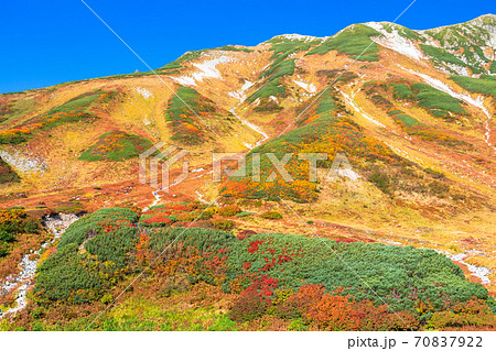 《富山県》紅葉最盛期の室堂・立山黒部アルペンルート 70837922