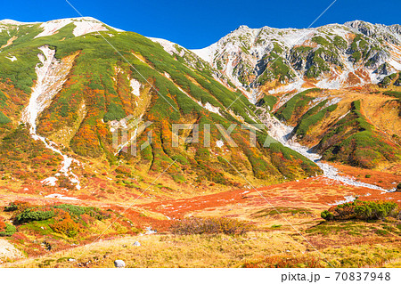 富山県 紅葉最盛期の室堂 立山黒部アルペンルートの写真素材