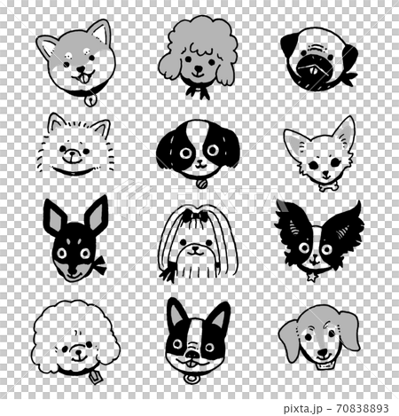 小さな犬たち モノクロ のイラスト素材 70