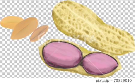 ピーナッツ 割った落花生と殻のついた落花生のイラストのイラスト素材