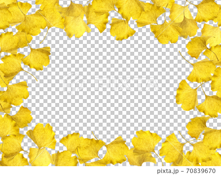 Ginkgo leaf autumn image background material Ginkgo leaf autumn image background material 70839670
