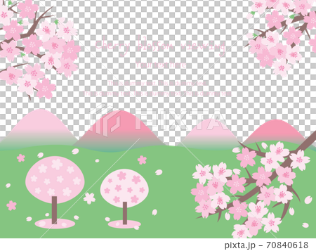 櫻花盛開 70840618