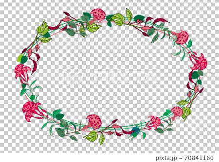 ケイトウの花フレーム ケイトウの花フレーム 70841160