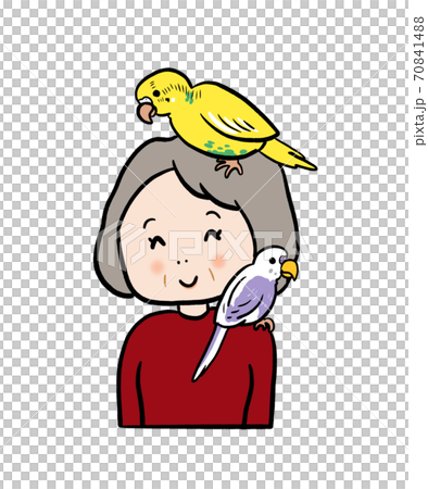 Senior woman with parakeets on her shoulders and head 70841488
