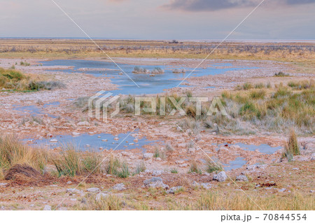 landscape namibia Etosha game reserve landscape namibia Etosha game reserve 70844554