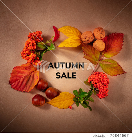 Autumn Sale square design for a flyer or banner, with fall leaves, chestnuts, and berries, overhead flatlay shot 70844667