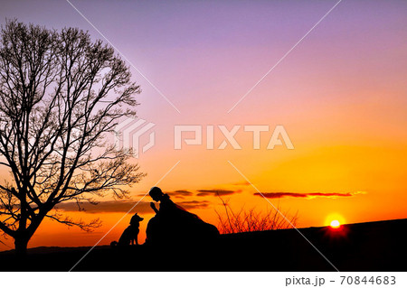 若草山の夕焼けと犬と花嫁 70844683