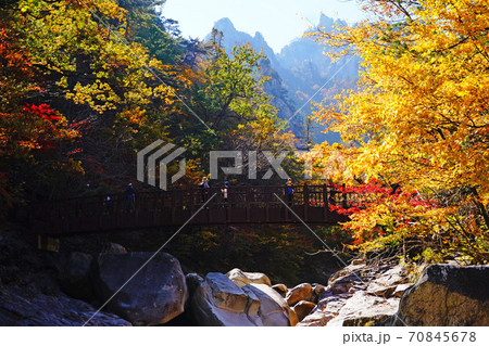 韓国 江原道 襄陽郡 70845678