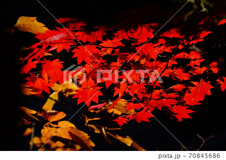 韓国 江原道 襄陽郡 70845686