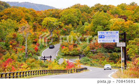 秋　絶景のアスピーテラインドライブ 70845691