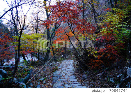 襄陽郡 国立公園 大青峰 70845744
