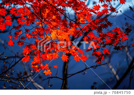 韓国 江原道 襄陽郡 70845750