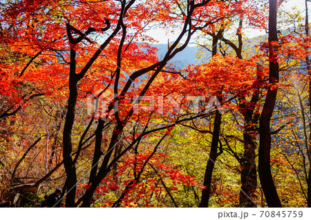 襄陽郡 国立公園 大青峰 70845759