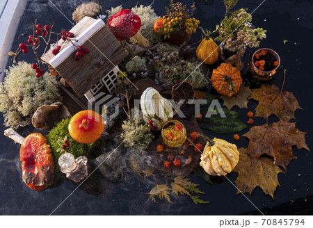 halloween concept composition 70845794