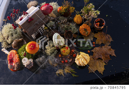 halloween concept composition 70845795