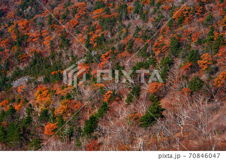 韓国 江原道 襄陽郡 70846047
