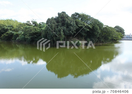 堺市世界遺産いたすけ古墳 70846406