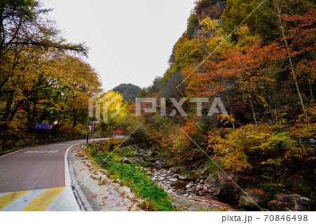 韓国 江原道 旌善郡 70846498