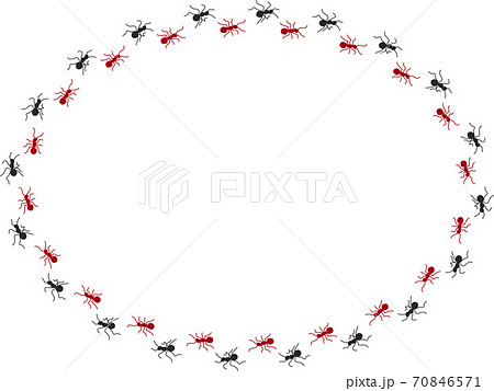 アリの行列 6 70846571