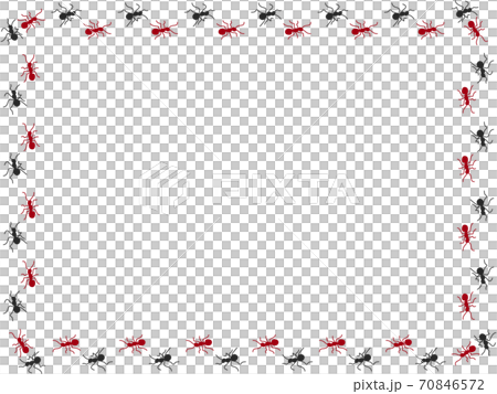 Ant procession 5 70846572