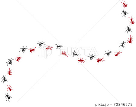 アリの行列 2のイラスト素材