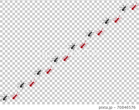 Ant matrix 1 70846576