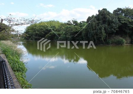 堺市世界遺産いたすけ古墳 70846765