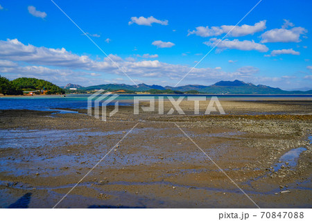 韓国 全羅南道 康津郡 70847088