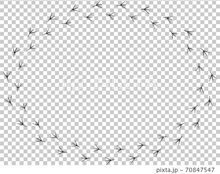 Bird footprints 4 70847547